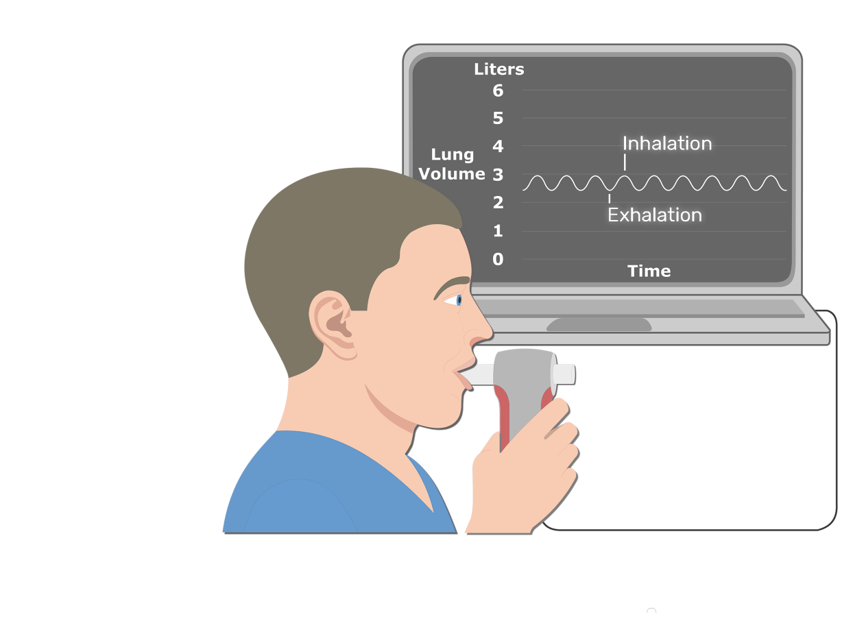 https://www.getbodysmart.com/wp-content/uploads/2017/09/Electronic-Spirometer-Inhalation-Exhalation.png