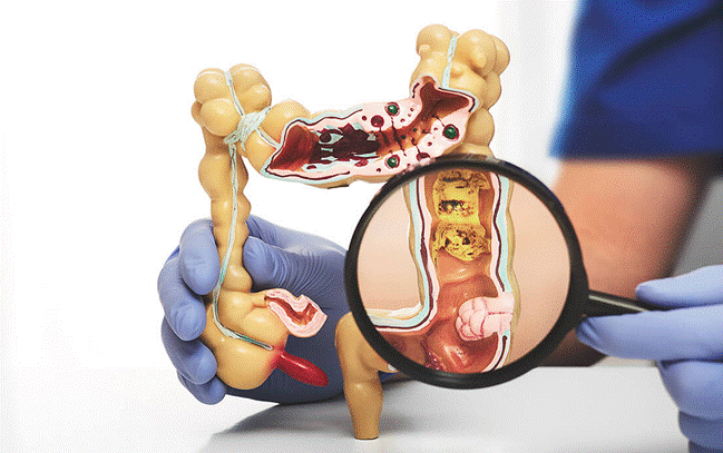 https://gemhospitals.com/frontend/assets/images/team/grid/6.png