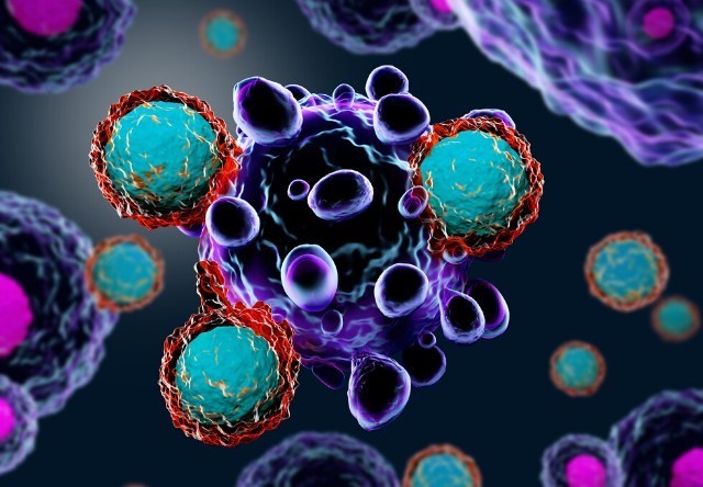 راه حل جدید برای درمان سرطان