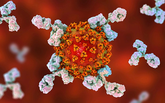 آیا وراثت و ژنتیک در کولیت اولسراتیو نقش دارد؟